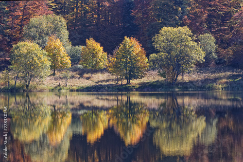 Fototapeta Naklejka Na Ścianę i Meble -  Forêt des Vosges en automne