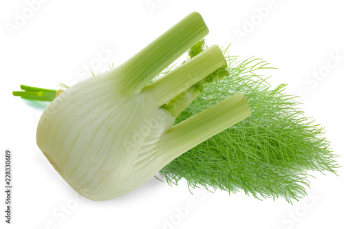 heap of fennel with leaves isolated on white background