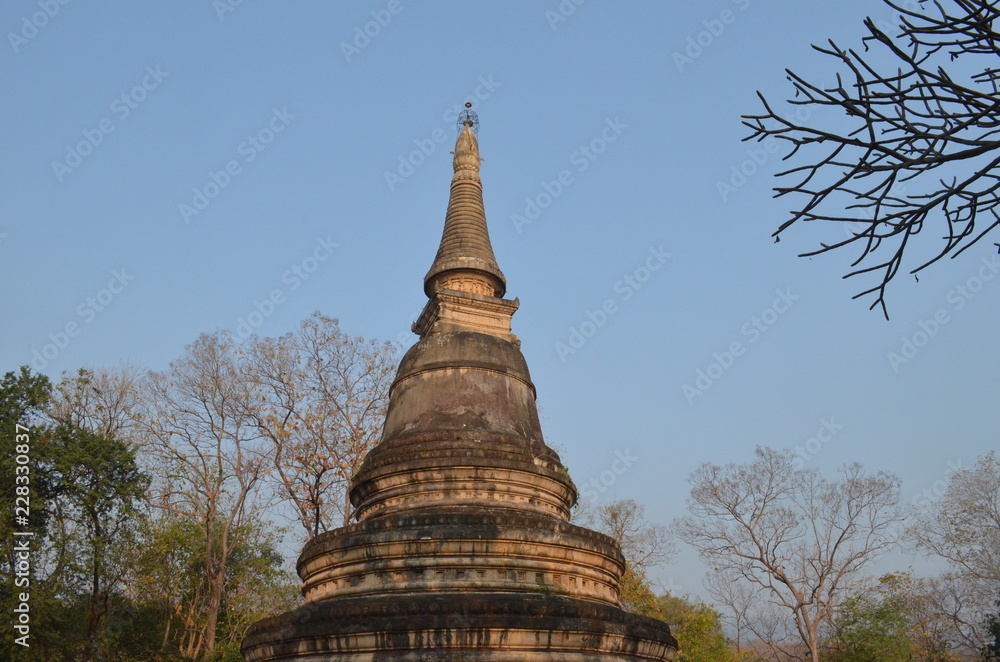 Pagoda Pagoda