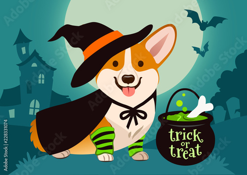 Halloween cute smiling welsh corgi dog in witch costume, black hat and cape, green bubbling potion brewing in trick or treat cauldron. Spooky night scene with full moon, haunted house, forest cemetery