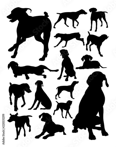 German shorthaired pointer dog animal silhouette. Good use for symbol, logo, web icon, mascot, sign, or any design you want.