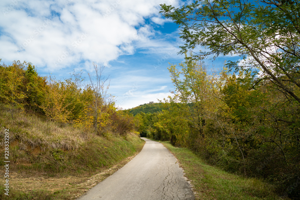 Fototapeta premium Bergstraße in Istrien