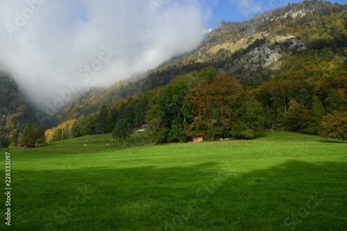 WOLKEN IN DEN BERGEN