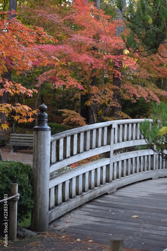 Manito Park Japanese Gardens - Autumn  photo