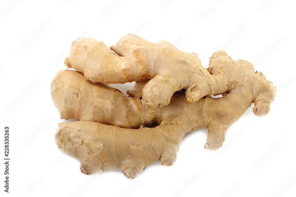 root of ginger isolated on white background root of ginger isolated on white background