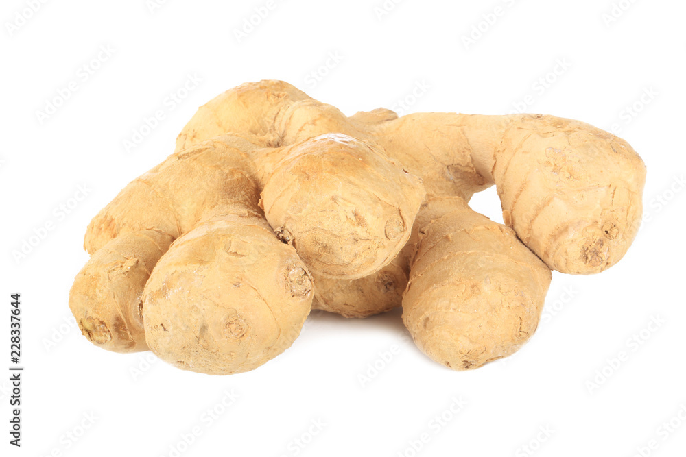 root of ginger isolated on white background root of ginger isolated on white background