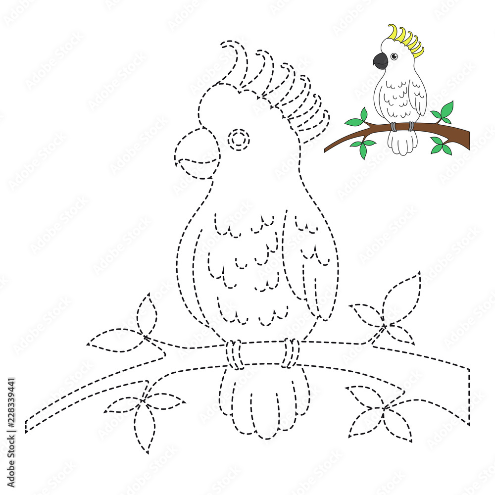drawing worksheet for preschool kids with easy gaming level of difficulty simple educational game for kids illustration of cockatoo sitting on branch for toddlers stock illustration adobe stock