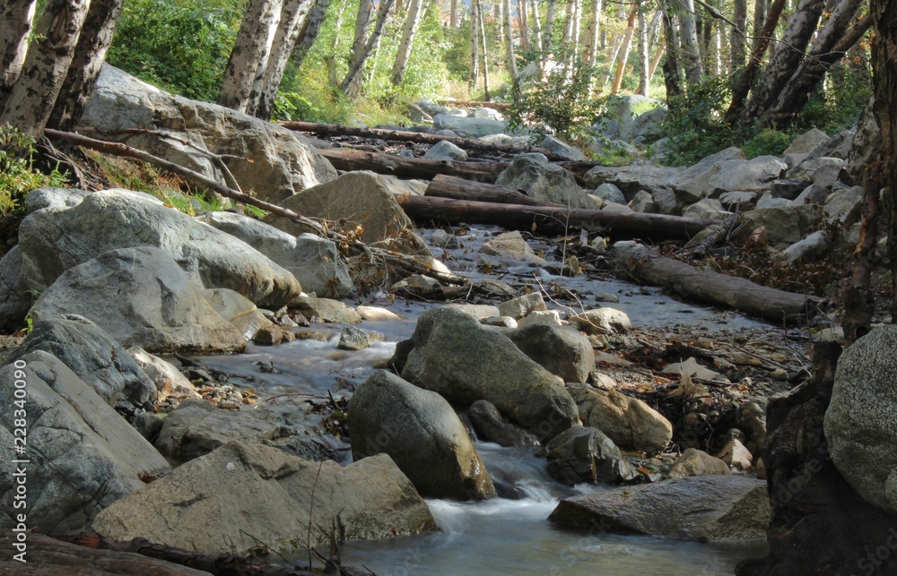 San Antonio Creek, Mount San Antonio aka Mount Baldy, California San Antonio Creek, Mount San Antonio aka Mount Baldy, California