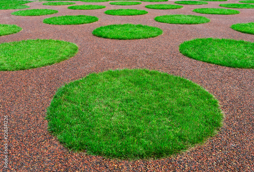 Green lawn in shape of circles