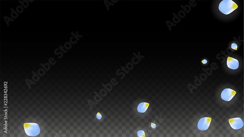 Vector Realistic Blue Petals Falling on Transparent Background.  Spring Romantic Flowers Illustration. Flying Petals. Sakura Spa Design. Blossom Confetti.