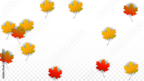 September Vector Background with Golden Falling Leaves. Autumn Illustration with Maple Red, Orange, Yellow Foliage. Isolated Leaf on Transparent Background. Bright Swirl. Suitable for Posters.