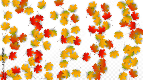 September Vector Background with Golden Falling Leaves. Autumn Illustration with Maple Red, Orange, Yellow Foliage. Isolated Leaf on Transparent Background. Bright Swirl. Suitable for Posters.