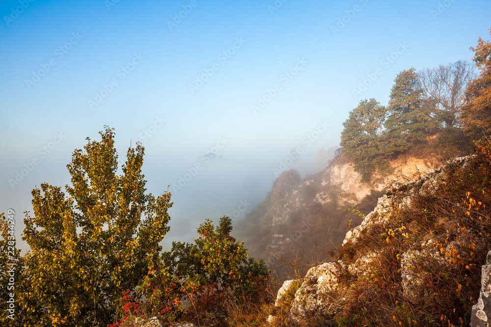 Colorful autumn scenery