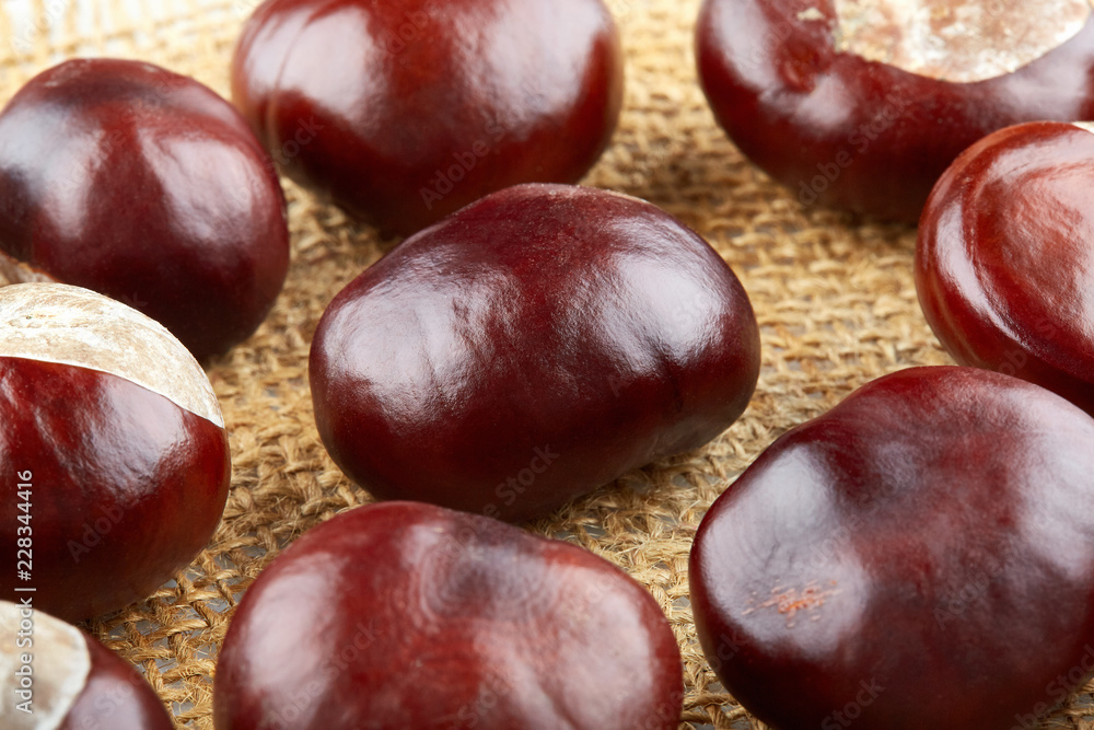 Many peeled chestnuts lie on hessian. Horse-chestnuts Many peeled chestnuts lie on hessian. Horse-chestnuts