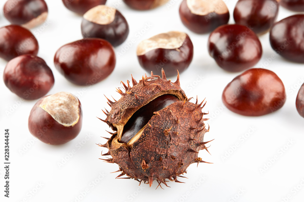 Chestnut with brown thorny peel and many peeled horse-chestnuts Chestnut with brown thorny peel and many peeled horse-chestnuts