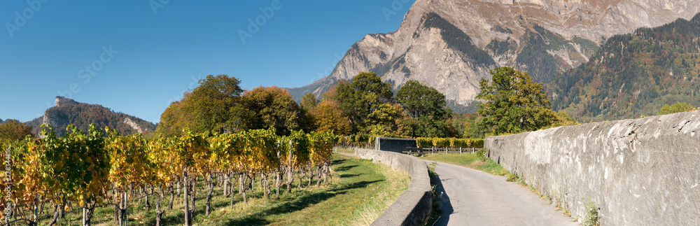 countryside mountain landscape with golden leaf vineyards and rock walls in Switzerland in late autumn