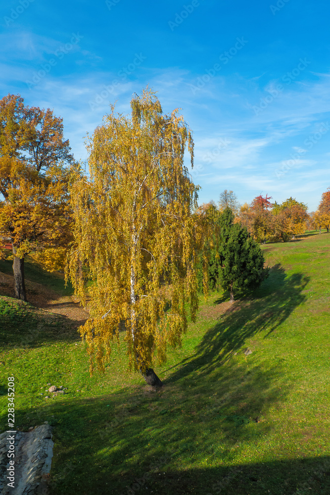 Autumn landscape in Tsaritsyno park, Moscow, Russia