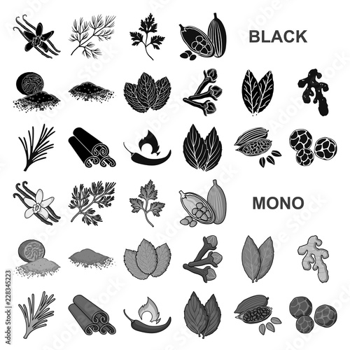 Herb and spices black icons in set collection for design.Different kinds of seasonings vector symbol stock web illustration.