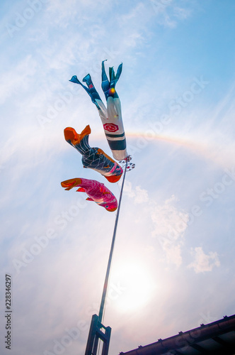 Koinobori flags - Colorful Carp fish flag moving in the wind, simbol of Japanese children day