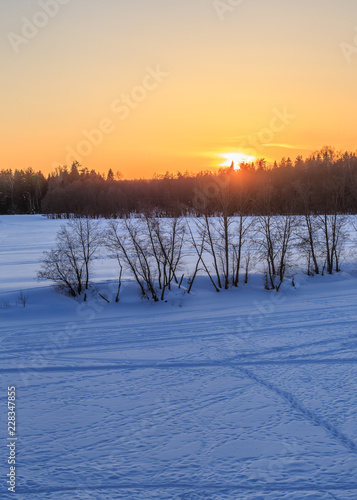 Sunset in the winter field, the sun shines through the branches