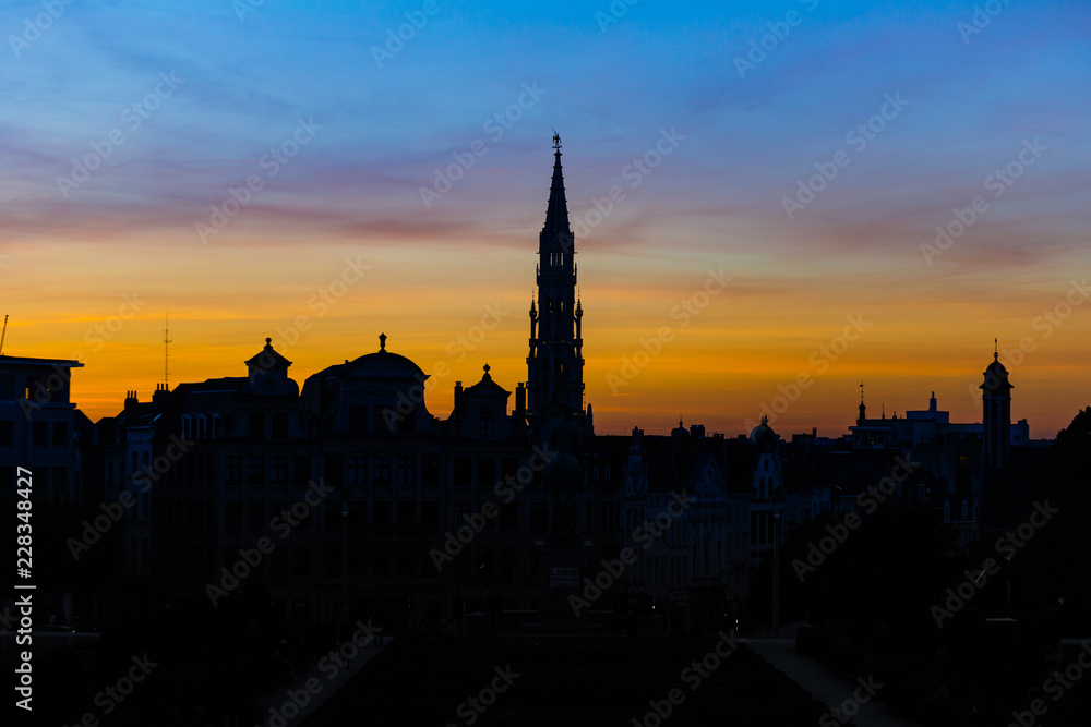 Sunset in Brussels city., The look of the silhouette.
