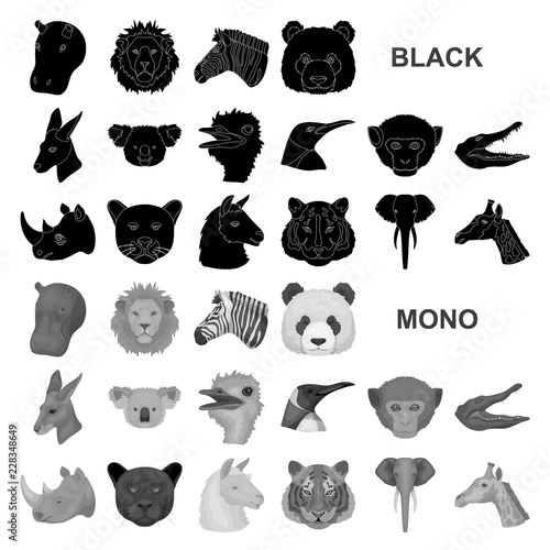 Wild animal black icons in set collection for design. Mammal and bird vector symbol stock web illustration. photo