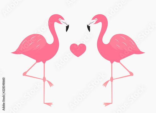 Couple of pink flamingos in love