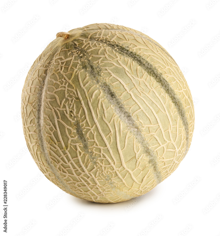 Obraz premium CANTALOUPE MELON