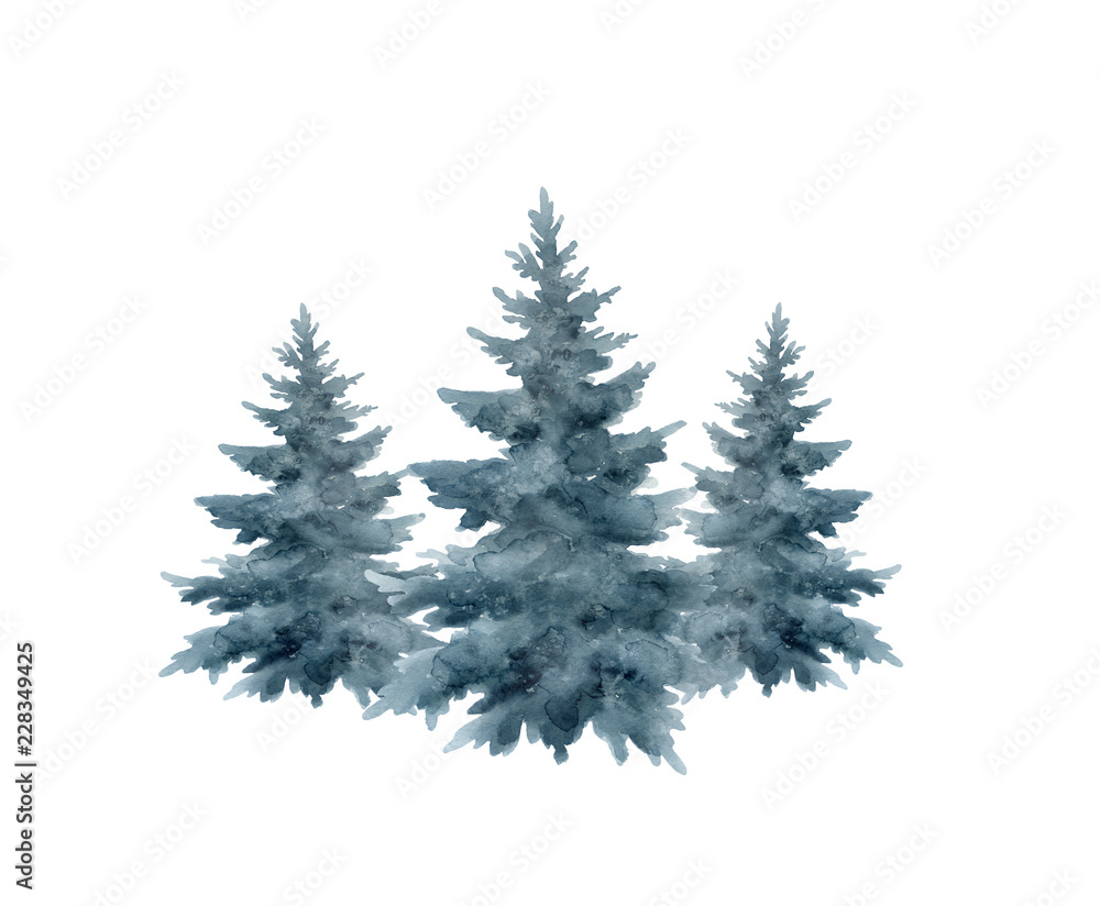 Christmas tree isolated on white background.Watercolor illustration.