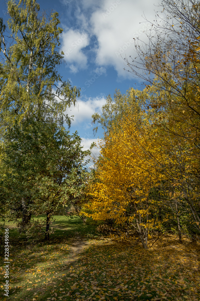 Naklejka premium Autumn landscape