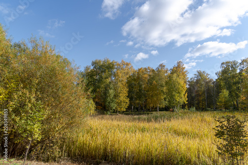 Autumn landscape © Vladimir