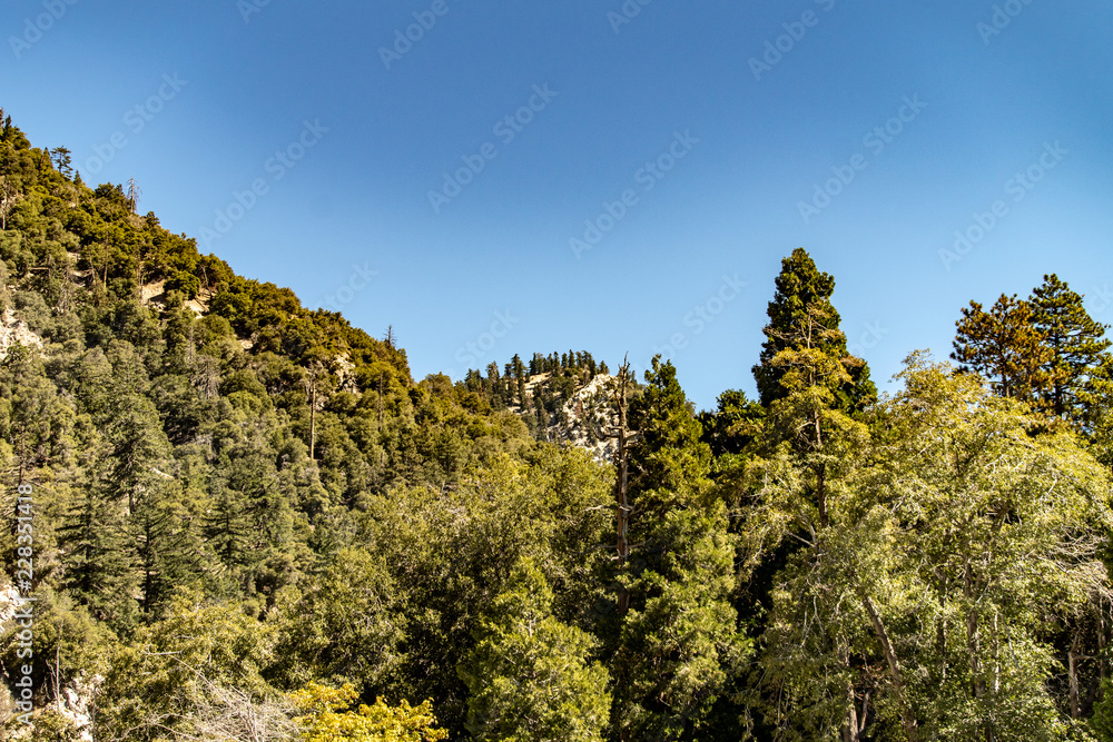 Aerial view of Forest Falls and Oak Creek in the San bernardino Mountains and National Forest with blue sky, green and yellow trees and plants Aerial view of Forest Falls and Oak Creek in the San bernardino Mountains and National Forest with blue sky, green and yellow trees and plants