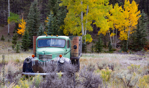 Truck Aspens