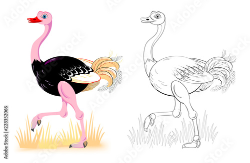 Fantasy illustration of cute ostrich. Colorful and black and white page for coloring book. Worksheet for children and adults. Vector cartoon image.