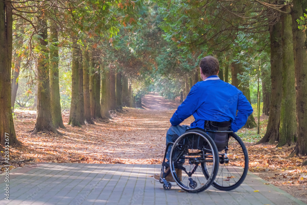 person with a disability on the wheelchair, man in the autumn park, disabled ride in autumn park sunny warm day, wheelchair traveler person with a disability on the wheelchair, man in the autumn park, disabled ride in autumn park sunny warm day, wheelchair traveler