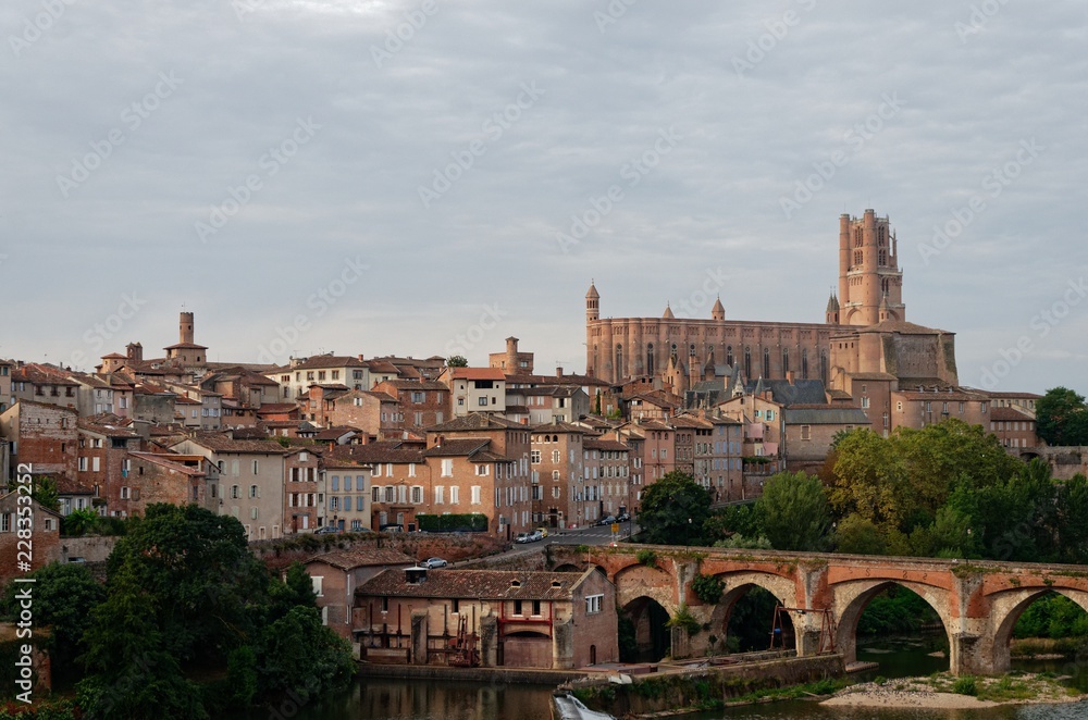 Panorama view of the french city of Albi