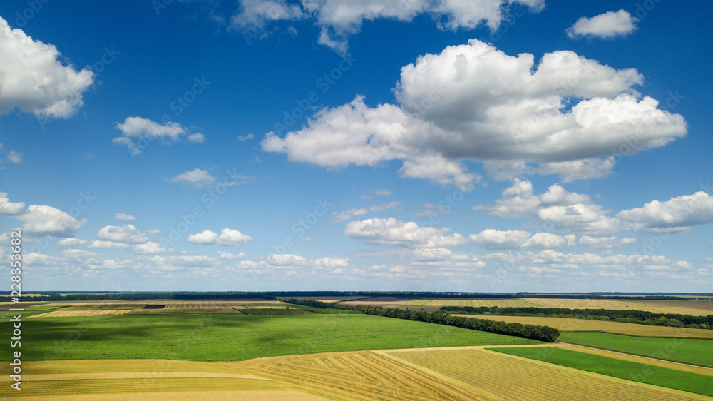 Rural scenic landscape with blue sky and clouds, green fields, yellow meadows in a summer sunny day. Panoramic view from drone.