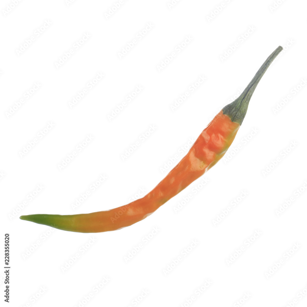 orange chili pepper isoalted on white background orange chili pepper isoalted on white background