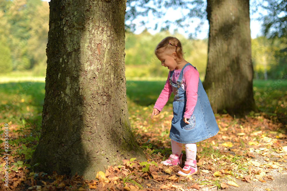 A little girl walks in a forest Park in the warm autumn. A little girl walks in a forest Park in the warm autumn.
