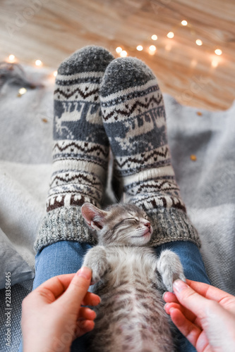 A cute gray kitten is resting on a plaid. Christmas lights on the background