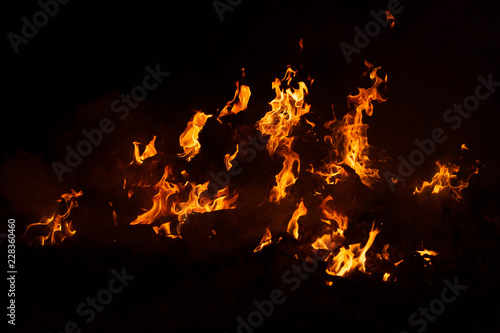 Flame of fire on a black background