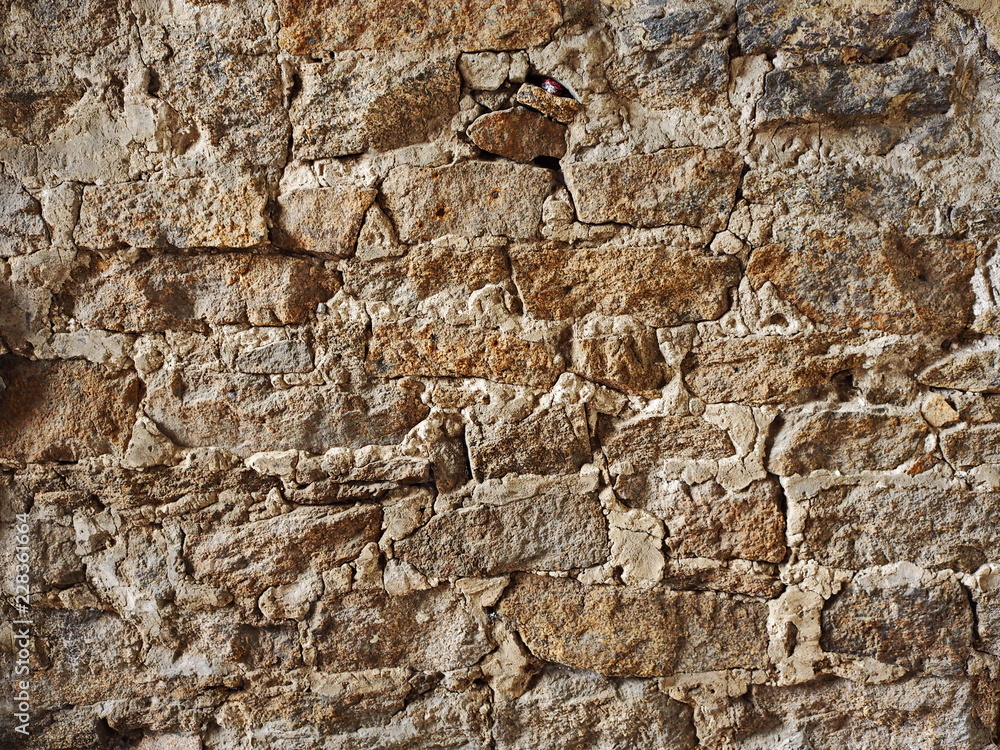 Fototapeta premium aged grunge texture