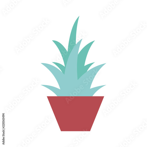 houseplant in pot isolated icon