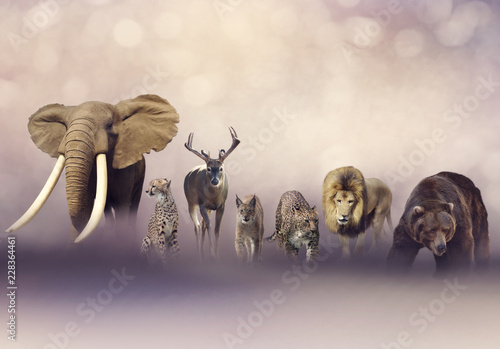 Group of wild animals © SunnyS