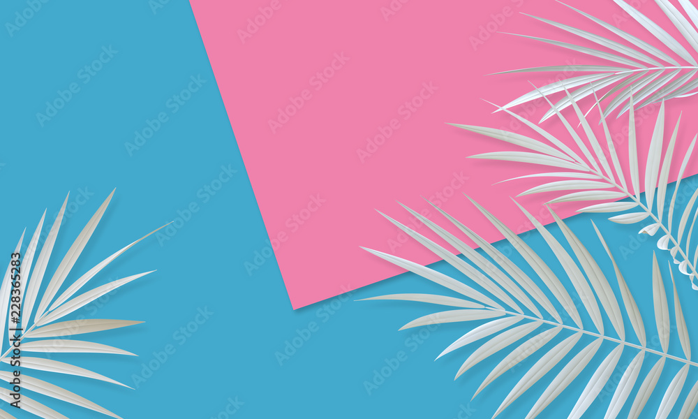 Fototapeta Tropical white palm tree leaf bright abstract background. Exotic summer banner. 3D Rendering