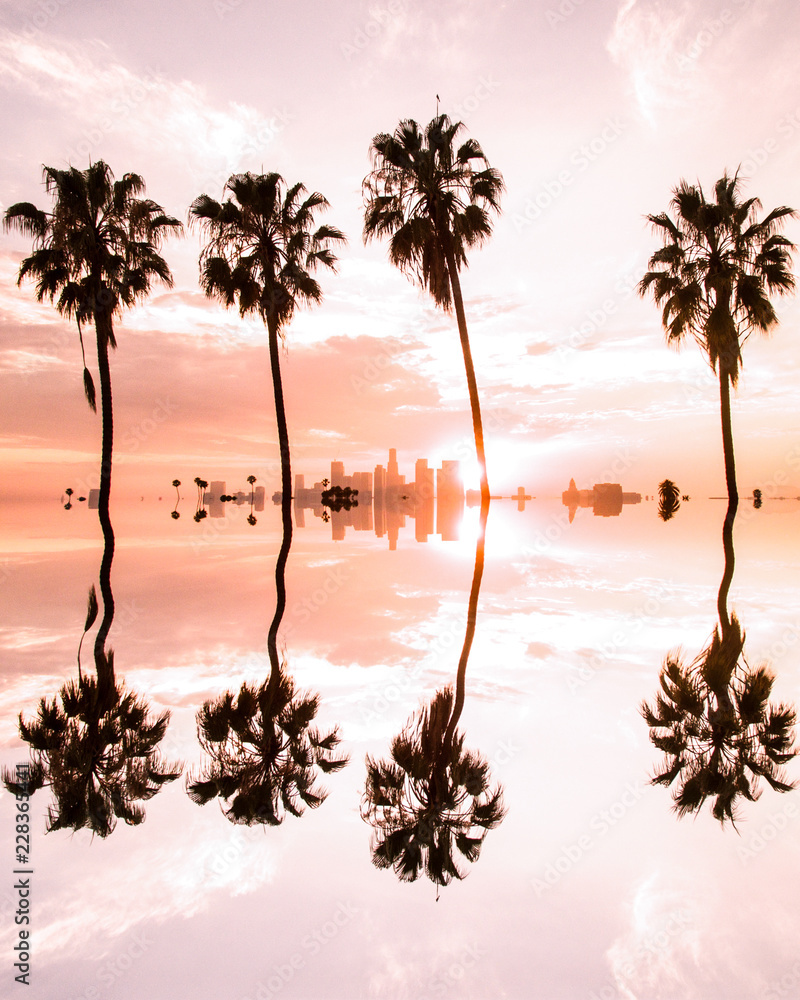 Reflection Of Palm Trees Stock Photo Adobe Stock Reflection Of Palm Trees Stock Photo Adobe Stock