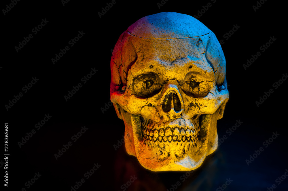 Ceramic skulls on black background. Halloween decor. Ceramic skulls on black background. Halloween decor.