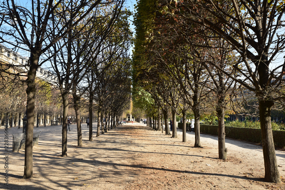 Jardin du Palais Royal à Paris, France