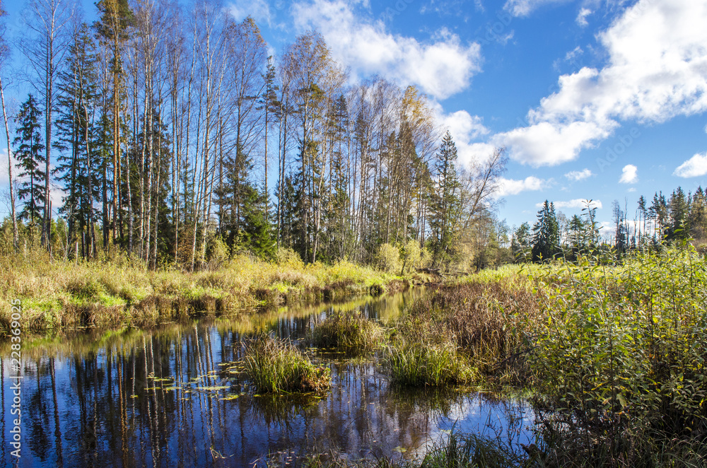 the last Sunny day in the autumn forest the last Sunny day in the autumn forest