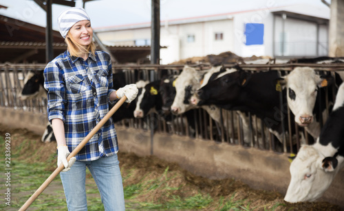 Cheerful cowgirl working with milking herd at cowhouse in farm photo